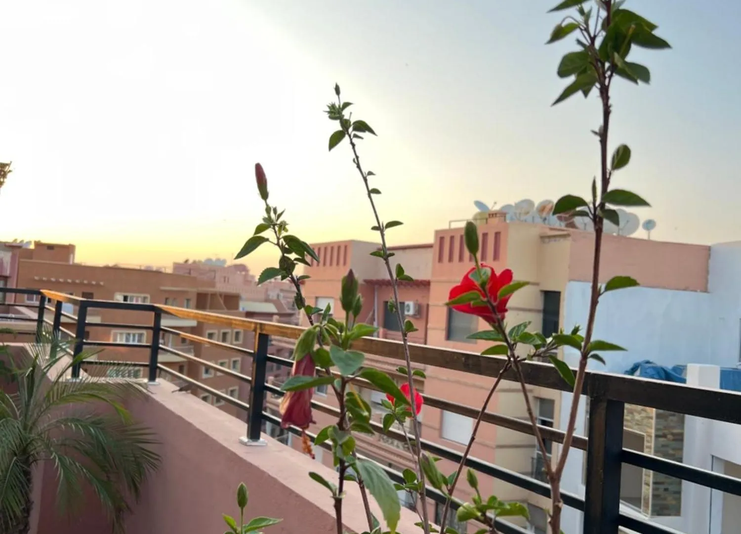 Marrakech Nadine House Apartment Marrakesh